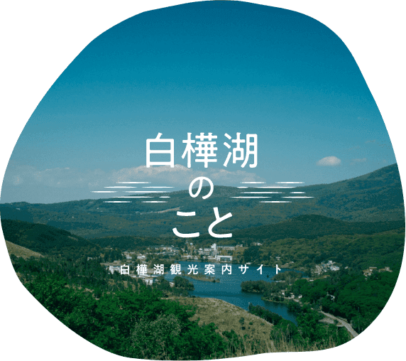 白樺湖のこと
