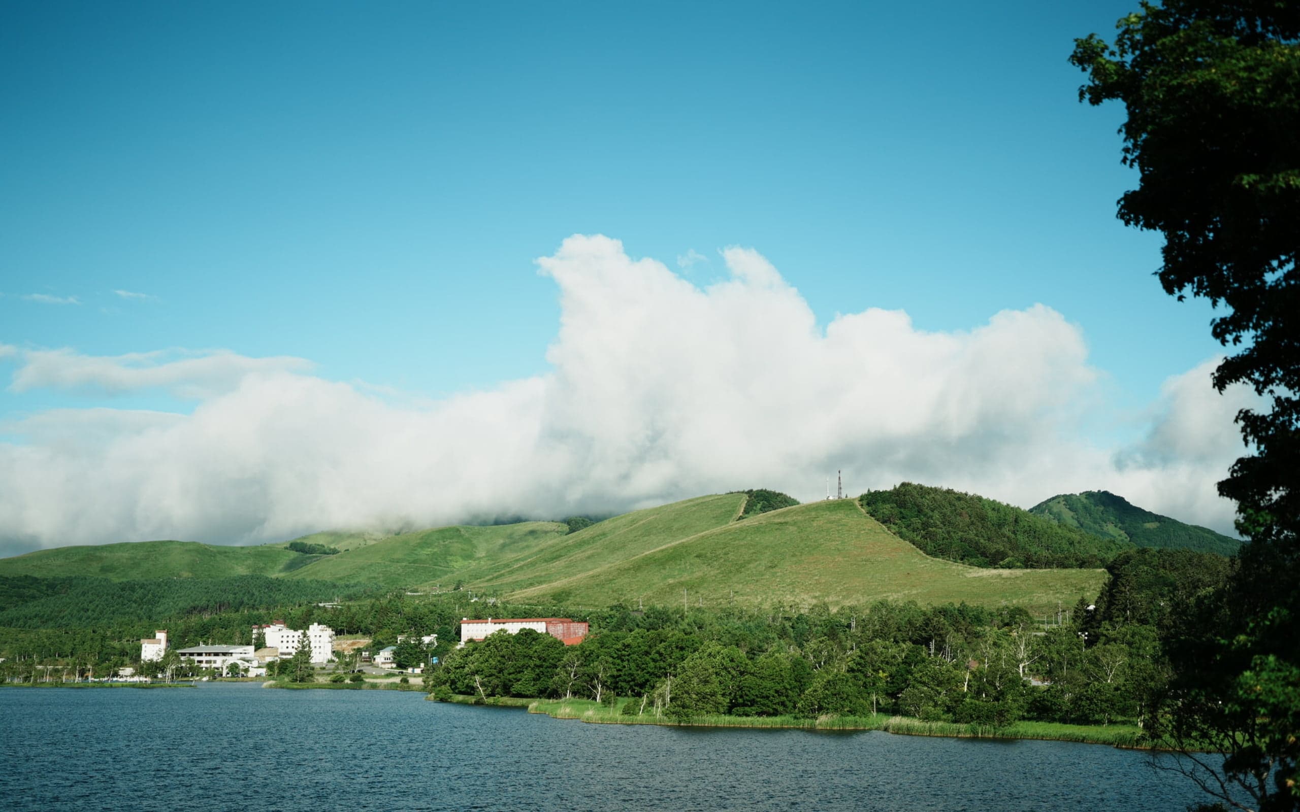 長野県茅野市・白樺湖畔の風景。湖と森と白樺が広がるレイクリゾート
