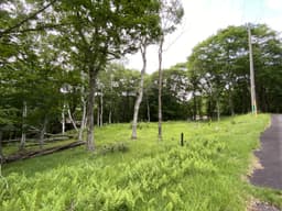 柏原財産区 区画3-35