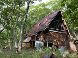 柏原財産区 区画4-19