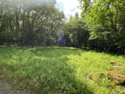 柏原財産区 区画5-16