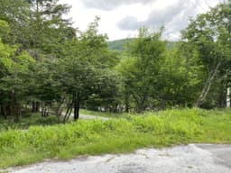 柏原財産区 区画4-30