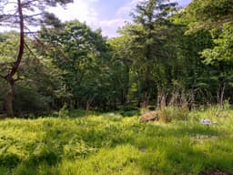 柏原財産区 区画4-15