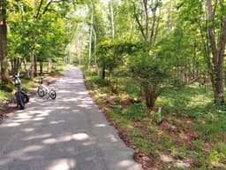 柏原財産区 区画24-6