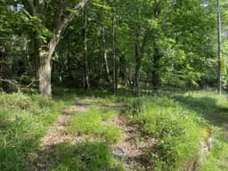 柏原財産区 区画5-1