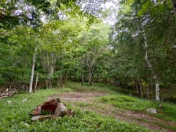 柏原財産区 区画5-2