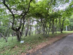 柏原財産区 <区画3-21