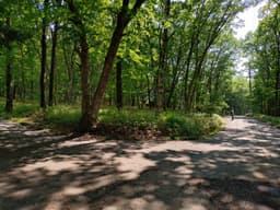 柏原財産区 区画18-4