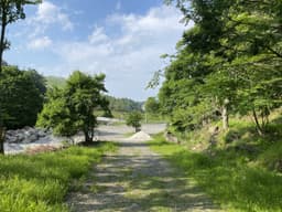 柏原財産区 区画2-11