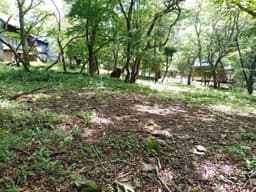 柏原財産区 区画4-31