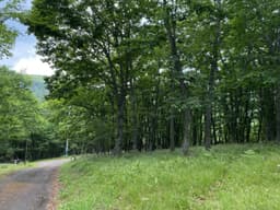 柏原財産区 区画3-34