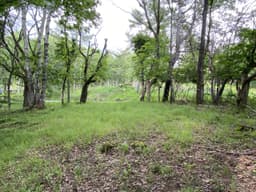 柏原財産区 区画4-12