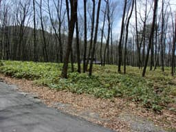 柏原財産区 区画19-16